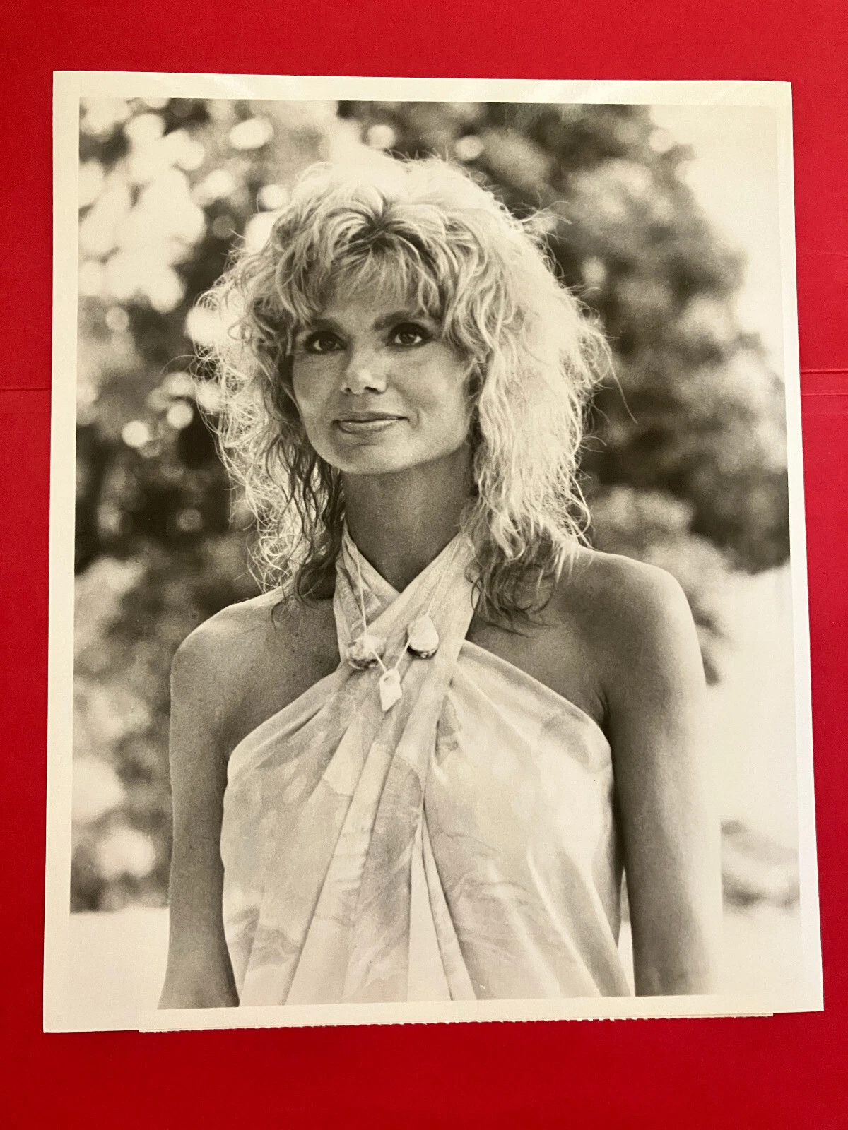 Portrait of Loni Anderson